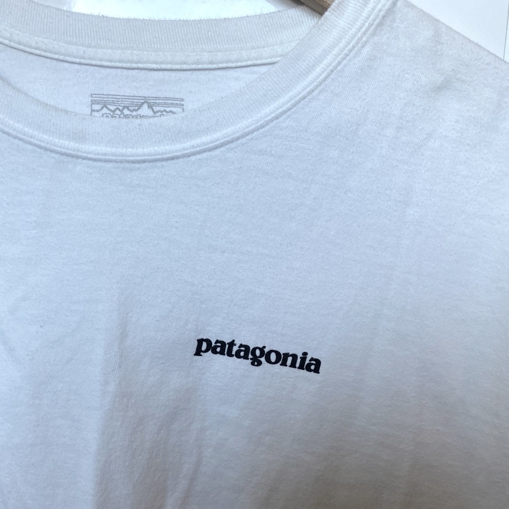 Patagonia Long Sleeve T